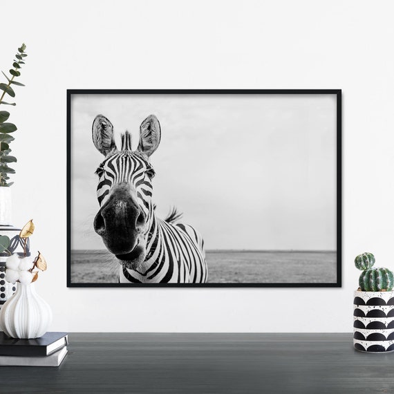 Zebra Print Art Print, Wildlife Wall Art