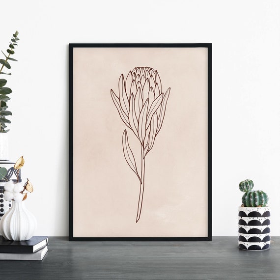 Protea Australian Native Floral Illustrative Art Print