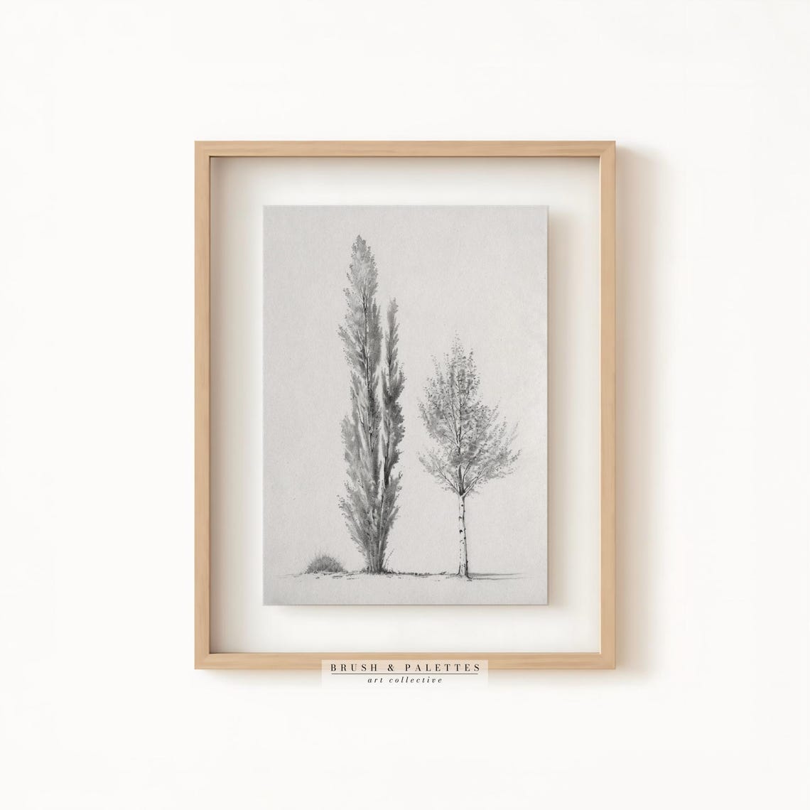 Elegant Poplar Tree Study Black And White Nature Drawing Sketch Poster - Image 2