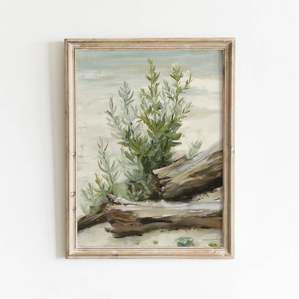 Driftwood Sage Greenery Beach Study Rustic Neutral Botanical Poster