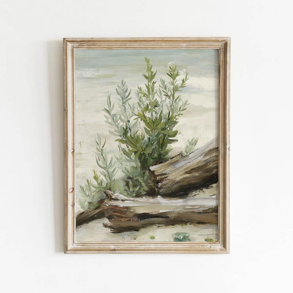 Driftwood Greenery Study Printable Sage Green Coastal Wall Art Rustic Nature Decor Neutral Botanical Print Vintage Download 443