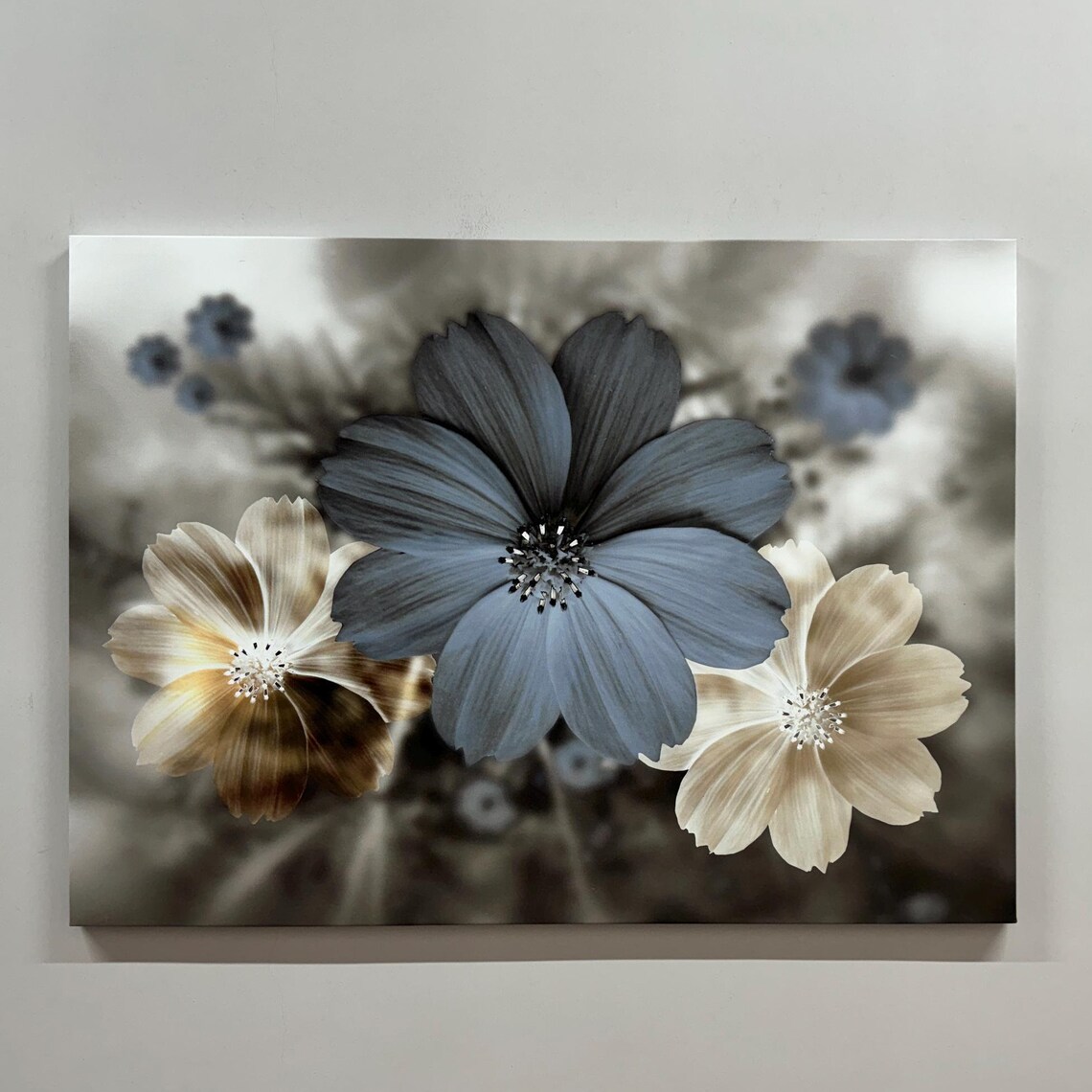 Dusty Blue Cream Cosmos Flowers Close Up Modern Floral Decor Poster