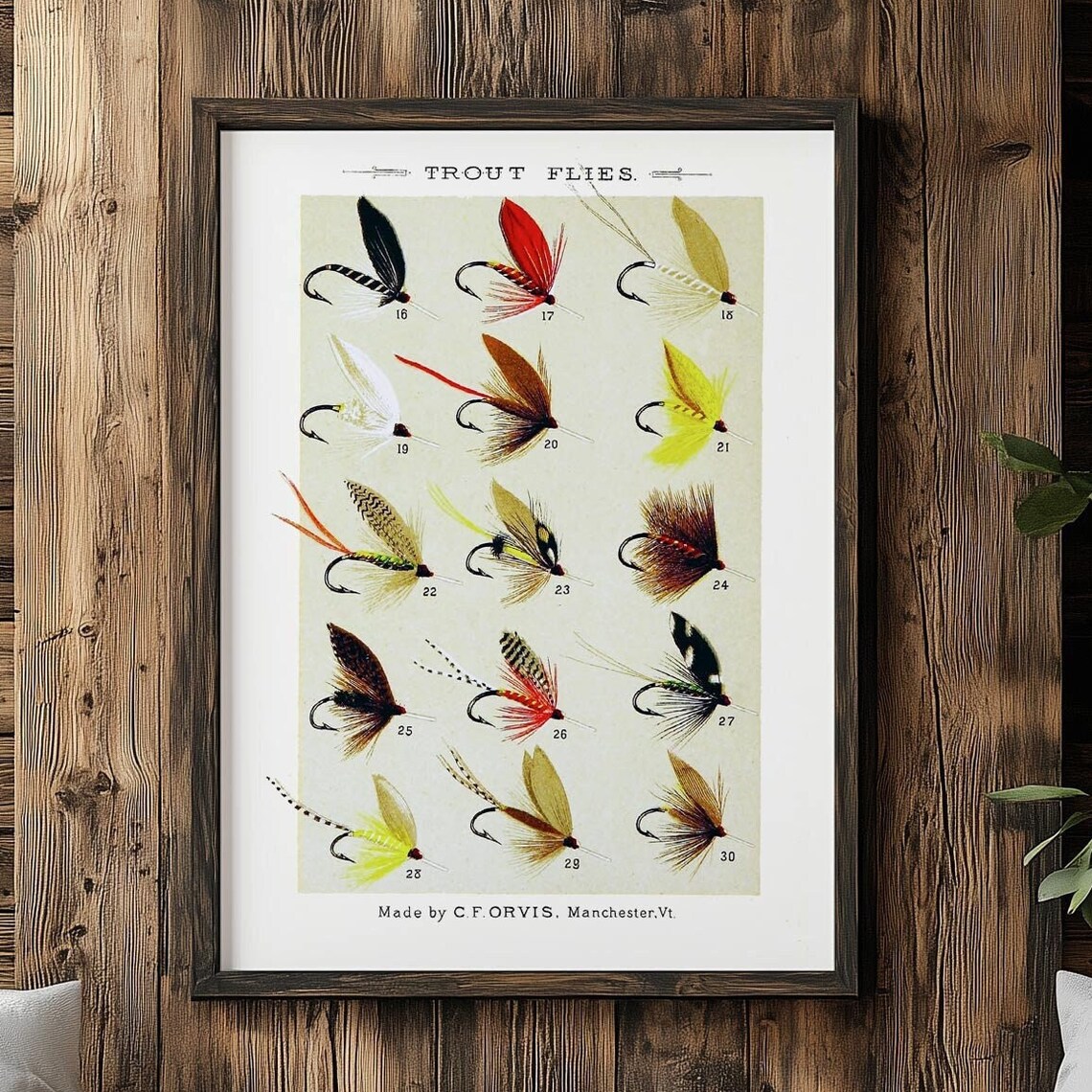 Vintage Trout Flies Fly Fishing Lures Orvis Chart Angler Poster