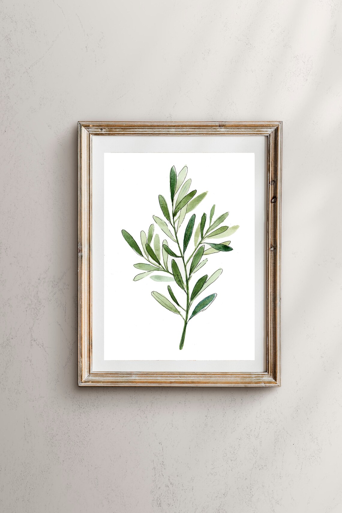 Olive Branch Botanical Art Print, Botanical Wall Art