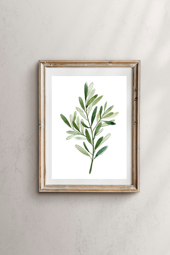 Olive Branch Botanical Art Print, Botanical Wall Art