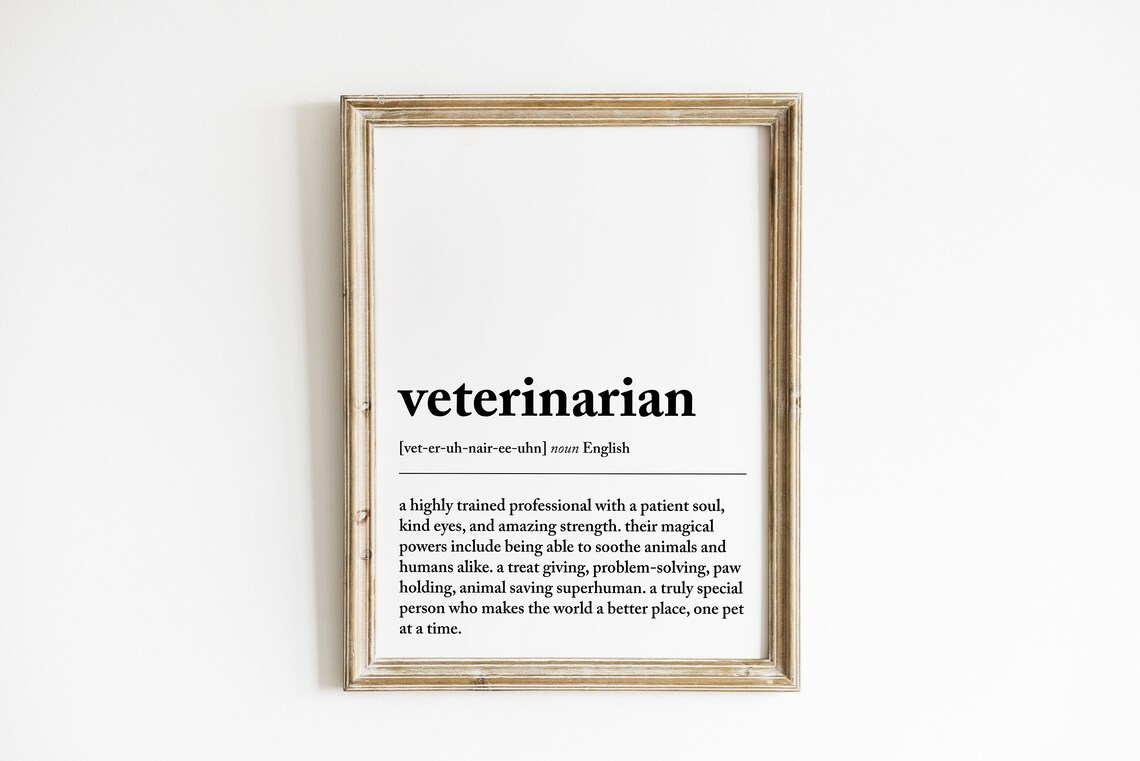 Veterinarian Definition Art Print, Vet Gift