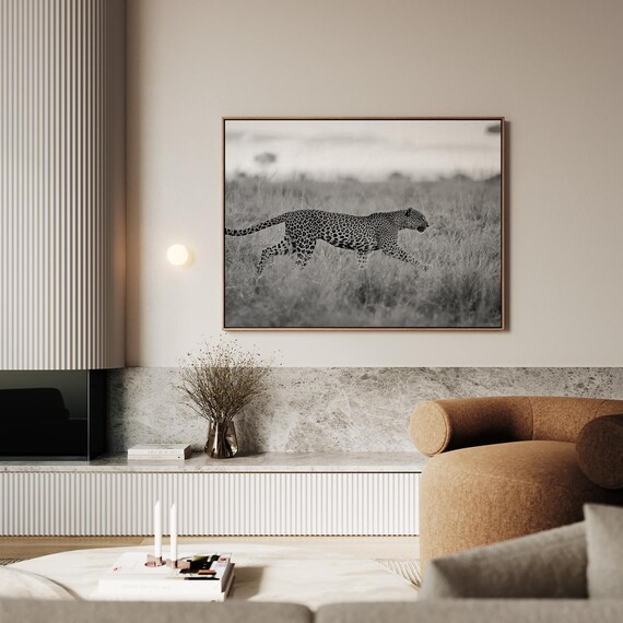 Leopard Hunting Grasslands Black And White Wildlife Photo Poster