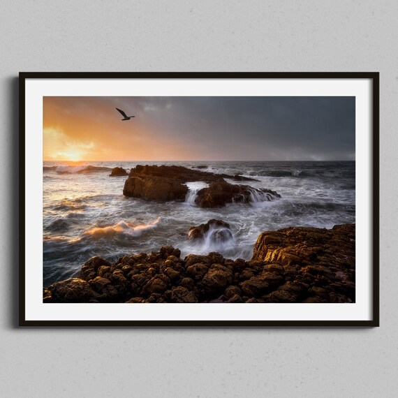 Moody Ocean Sunset Rocky Shore Photography Poster Seagull Seascape Art