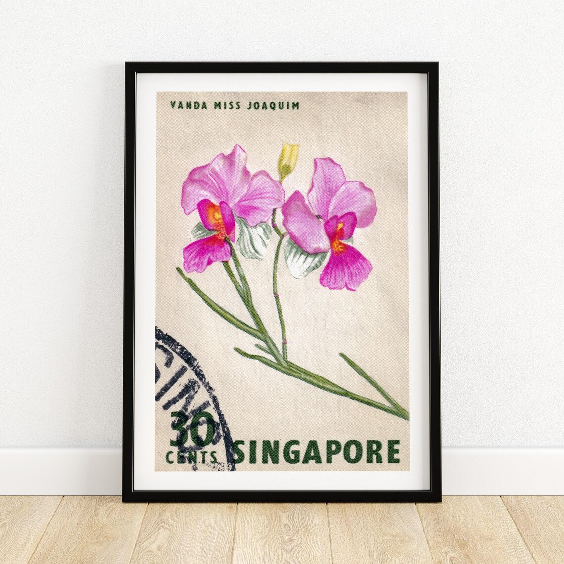 Pink And White Flower Singapore Vintage Poster Print