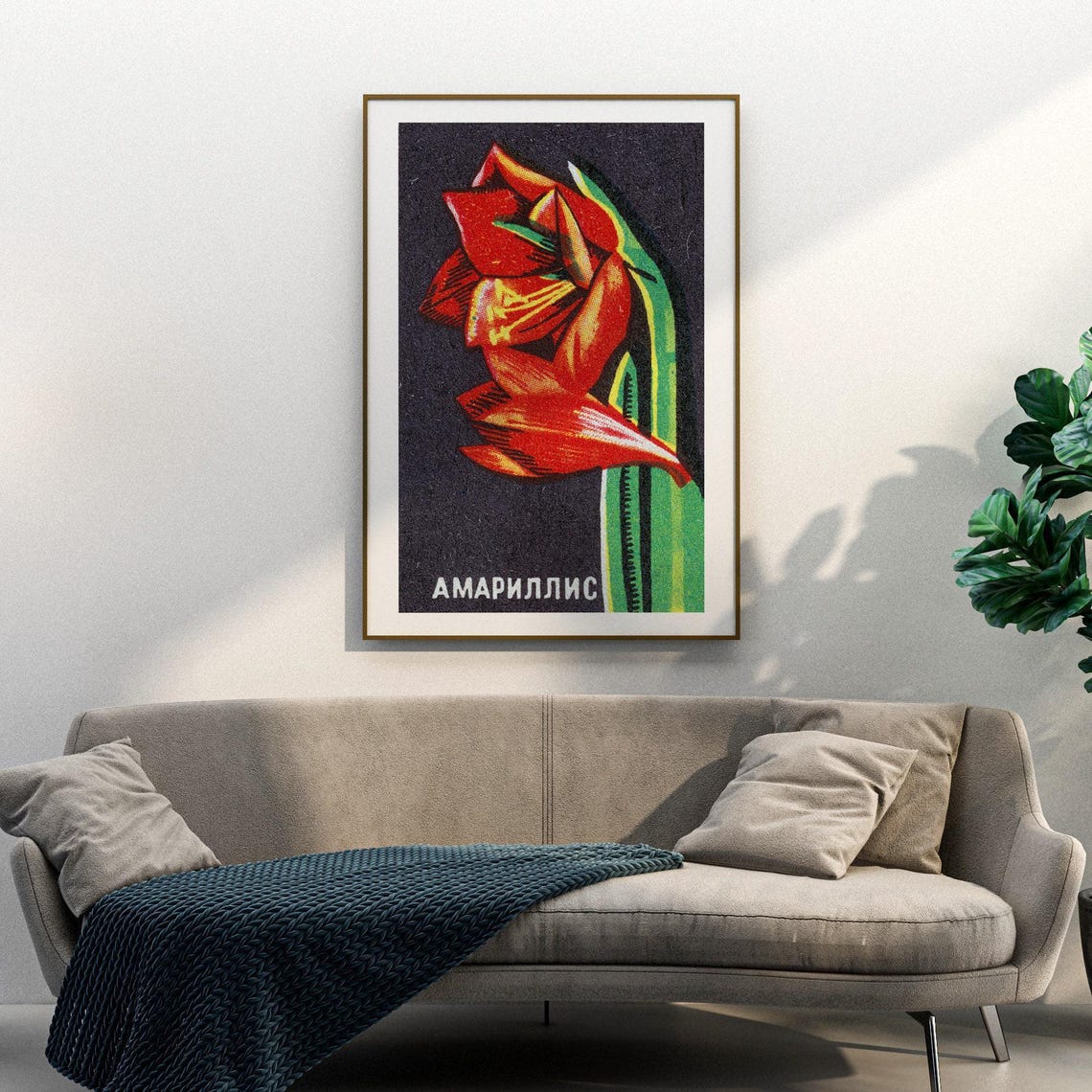 Red Amaryllis Flower Vintage Soviet Botanical Matchbox Poster - Image 3