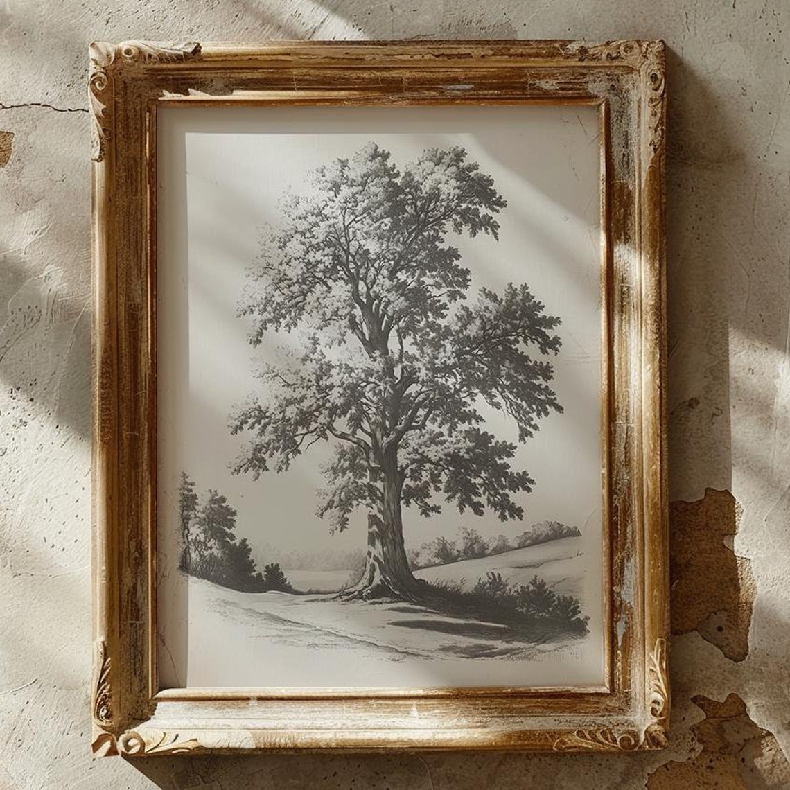 Majestic Oak Tree Classic Vintage Botanical Engraving Poster