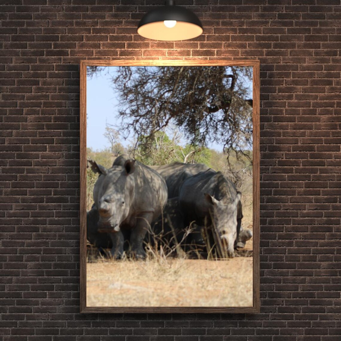 African Rhino Herd Resting Under An Acacia Tree Safari Wildlife Poster - Image 2