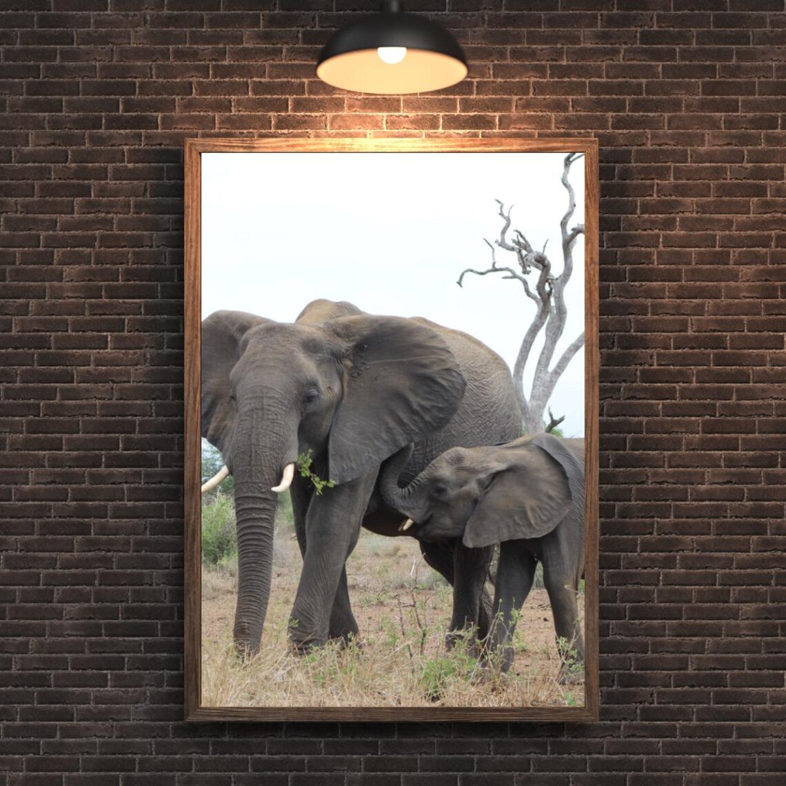 Elephants Art, Africa Game Reserves - Image 2