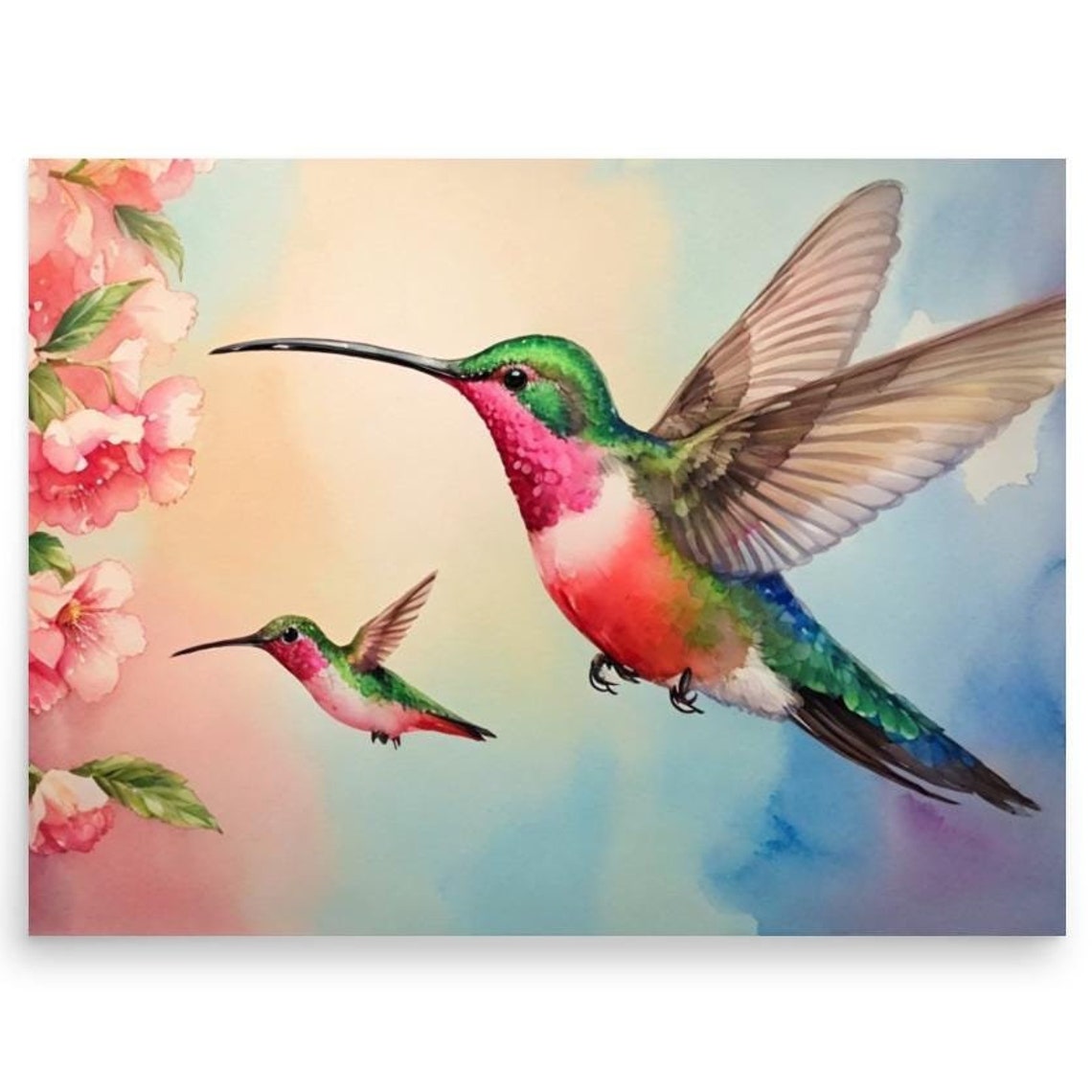 Two Hummingbirds In Flight Near Pink Blossoms Watercolor Poster