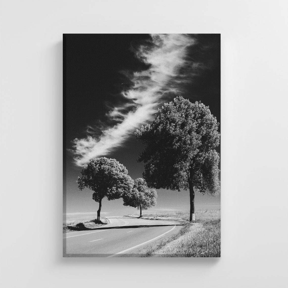 Lonely Trees Photography Large Nature Art Print Stylish Home Decoration Wall Art Nursery Decor Living Room Ic125