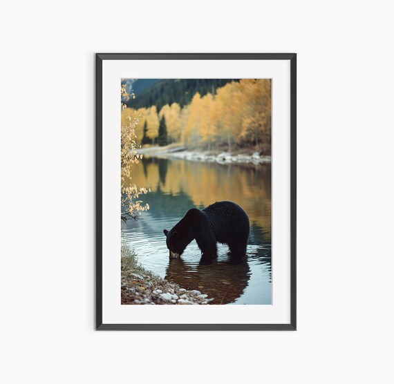 Bear Print Photography Prints Nature Animal Poster Housewarming Gift Wall Art Museum Quality