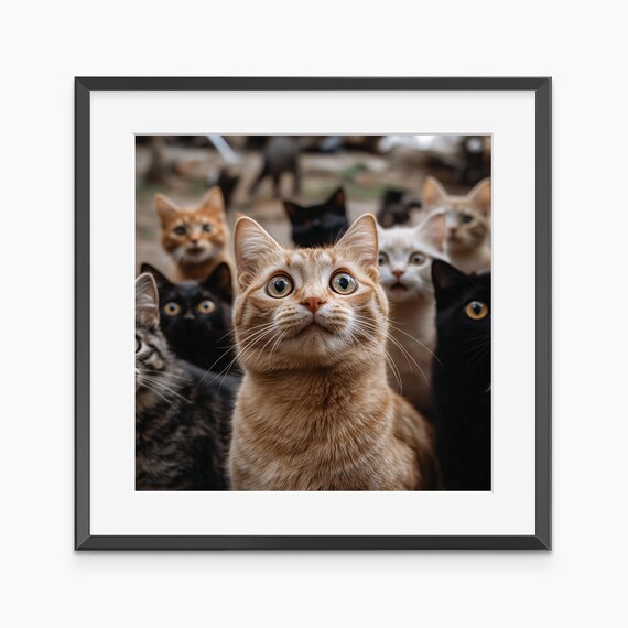 Ginger Cat Crowd Looking Up Funny Group of Cats Photo Poster