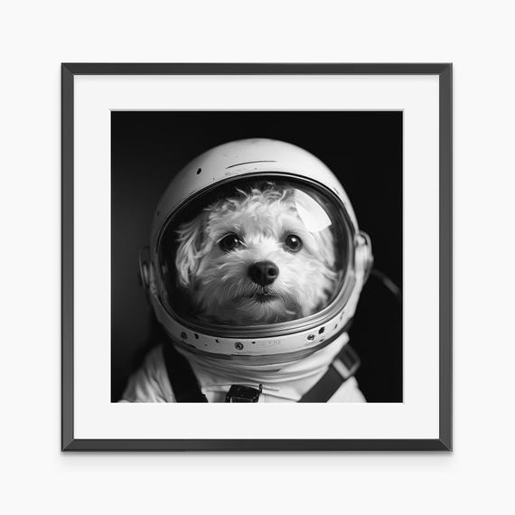 Astronaut Helmet Photography Prints Funny Poster Dog Print Nursery Wall Art Black And White Museum Quality