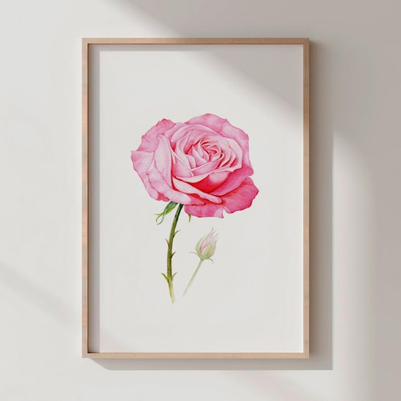 Watercolor Rose Print Floral Botanical Wall Art