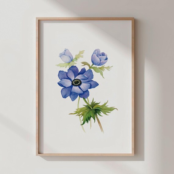 Anemone Watercolor Art Print Minimalist Floral Wall