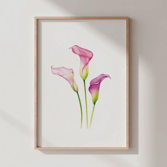 Calla Lily Watercolor Print, Elegant Floral Art