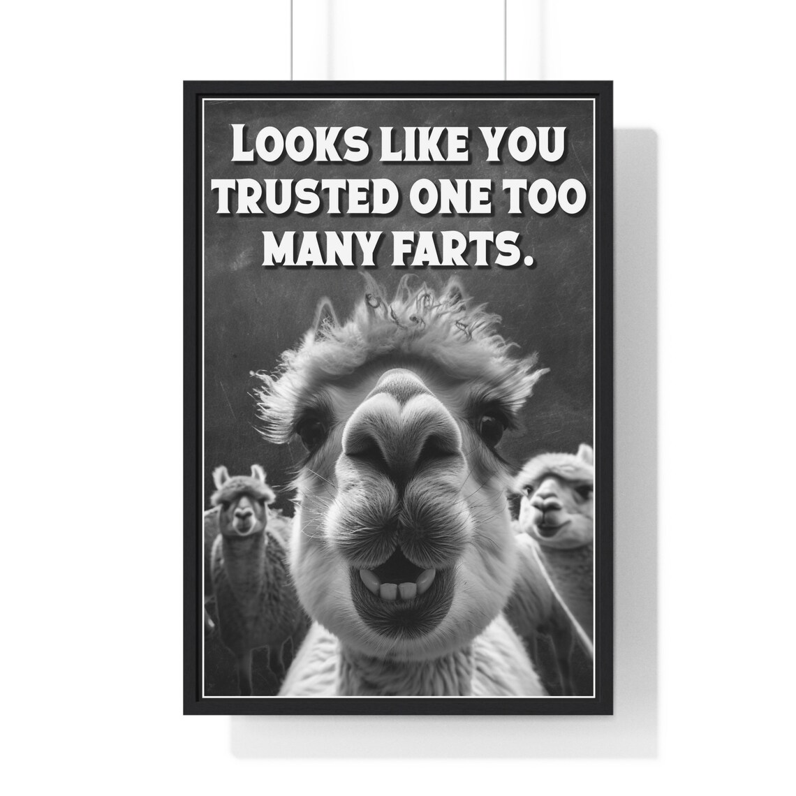 Alpaca Selfie Framed Close-Up Trusted One Too Many Farts Bathroom Poster