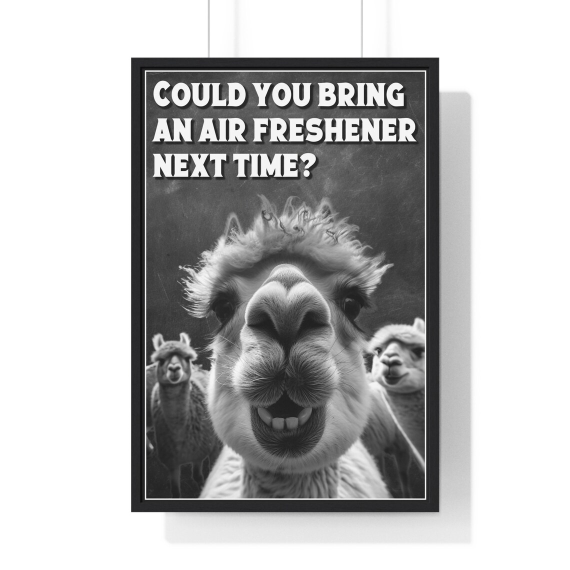 Alpaca Selfie Framed Close-Up Bring an Air Freshener Funny Bathroom Poster