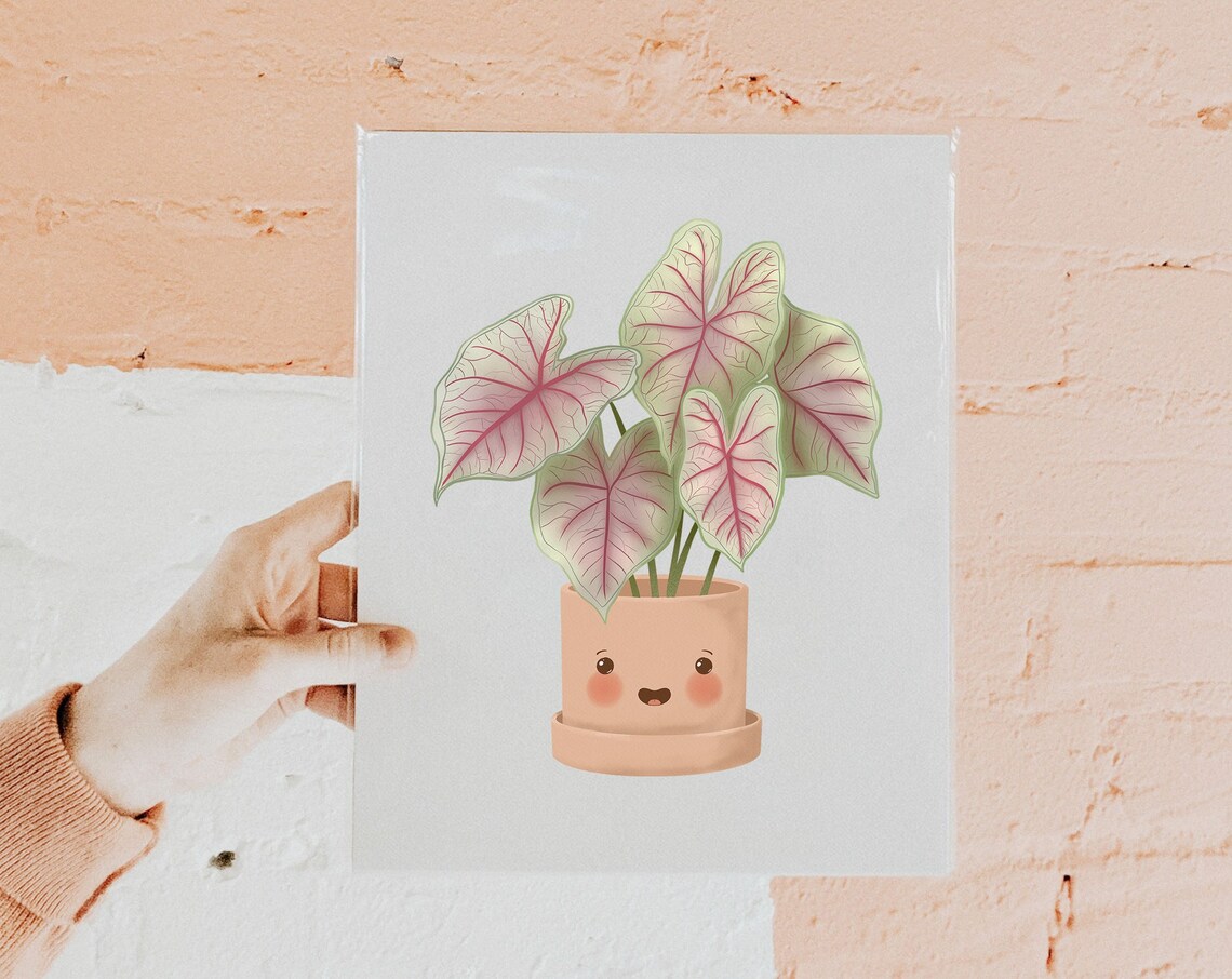 Pink Veined Caladium Beauty Cute Smiling Kawaii Plant Art Print