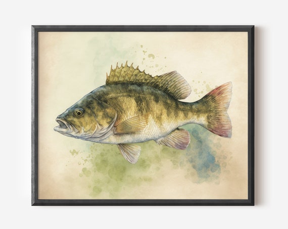 Smallmouth Bass Watercolor Art Fish Print Freshwater Fresh Cabin Decor Lakehouse Fisherman Gift Man Cave