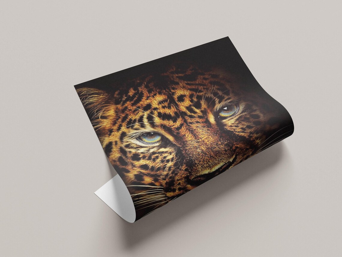 Leopard Face Close Up on a Black Background Wildlife Photo Poster - Image 2