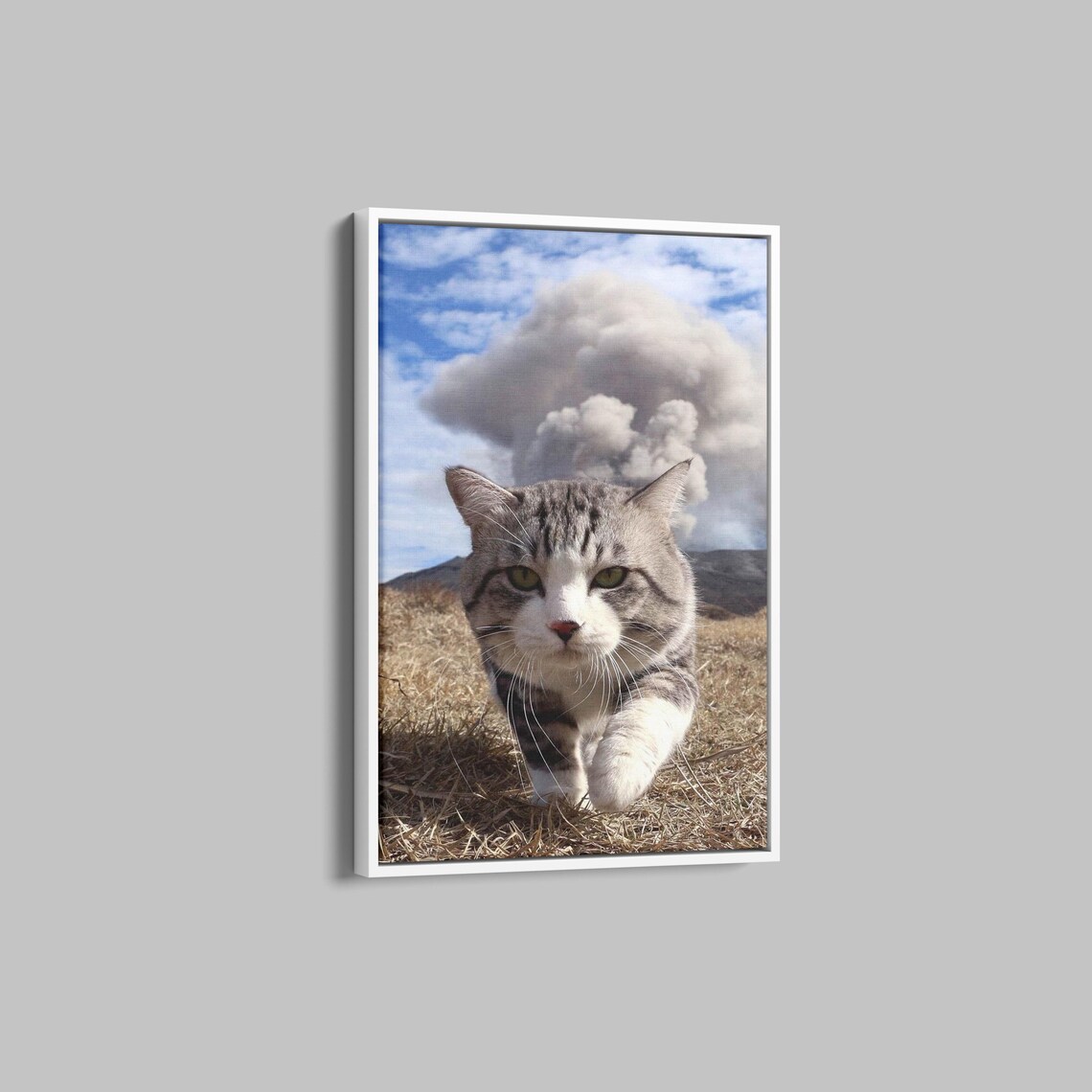 Funny Tabby Cat Walking Toward Camera With Dramatic Cloud Poster - Image 3