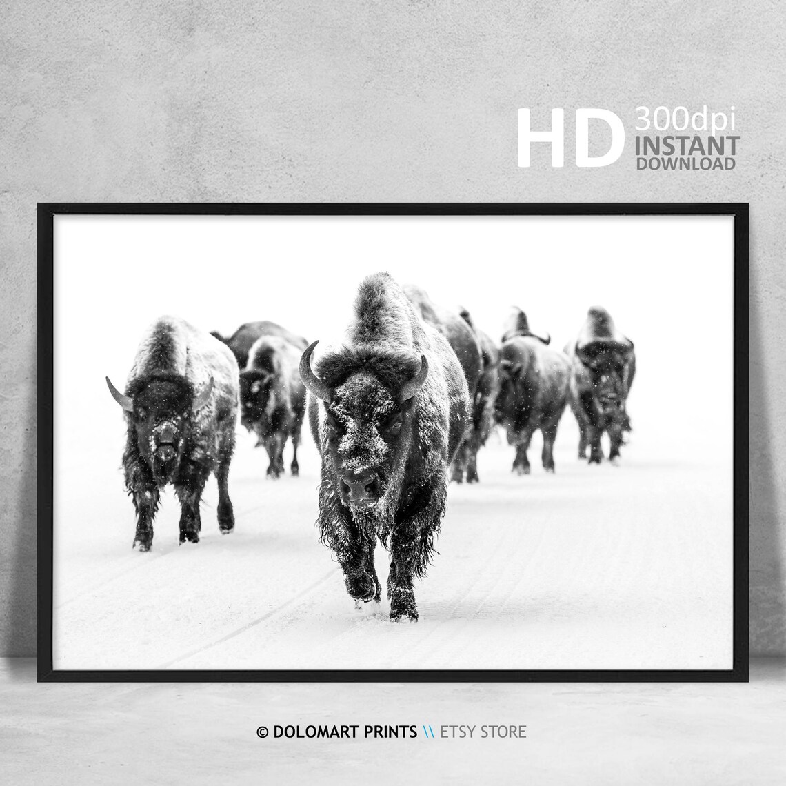 Black And White Bison Group Art Print, Farmhouse Decor - Image 4
