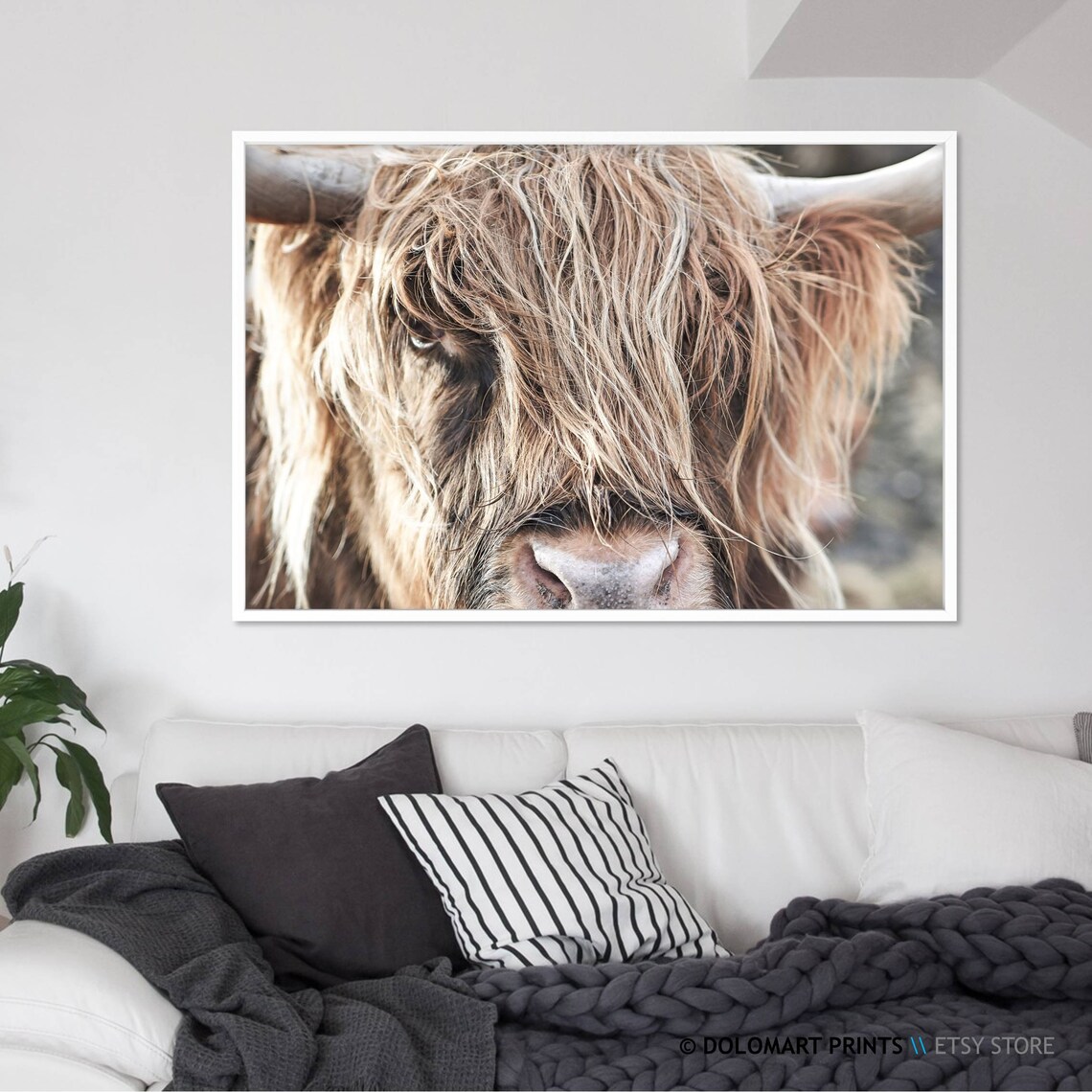 Highland Cow Photography Print, Rustic Nursery Decor - Image 2