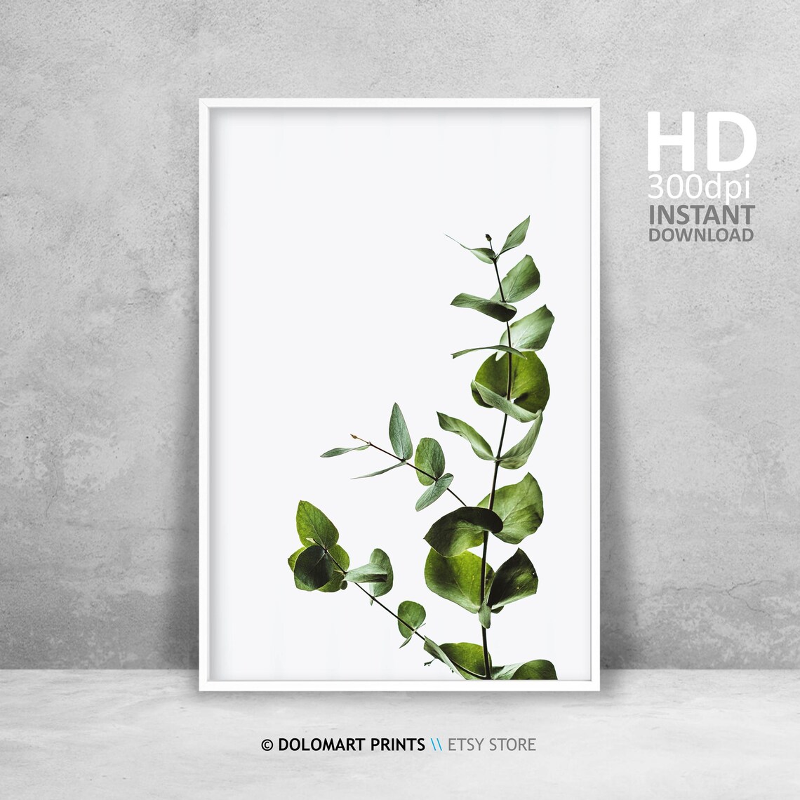 Eucalyptus Print Botanical Print Tropical Wall Art Botanical Leaf Print Green And White Prints Modern Minimalist Wall Decor