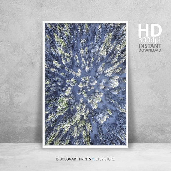 Aerial Drone View Of Snowy Evergreen Forest Frosted Winter Poster