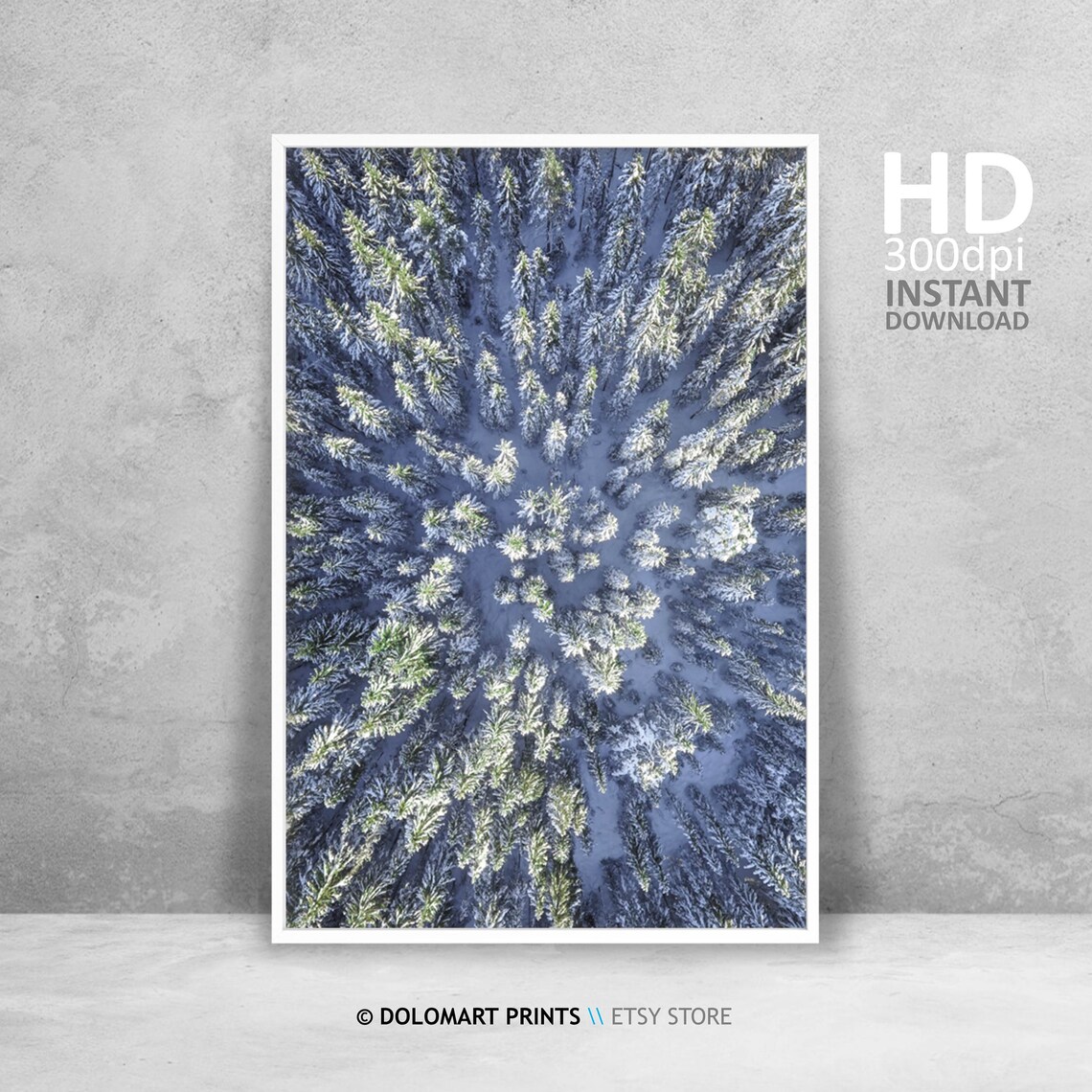 Aerial Drone View Of Snowy Evergreen Forest Frosted Winter Poster