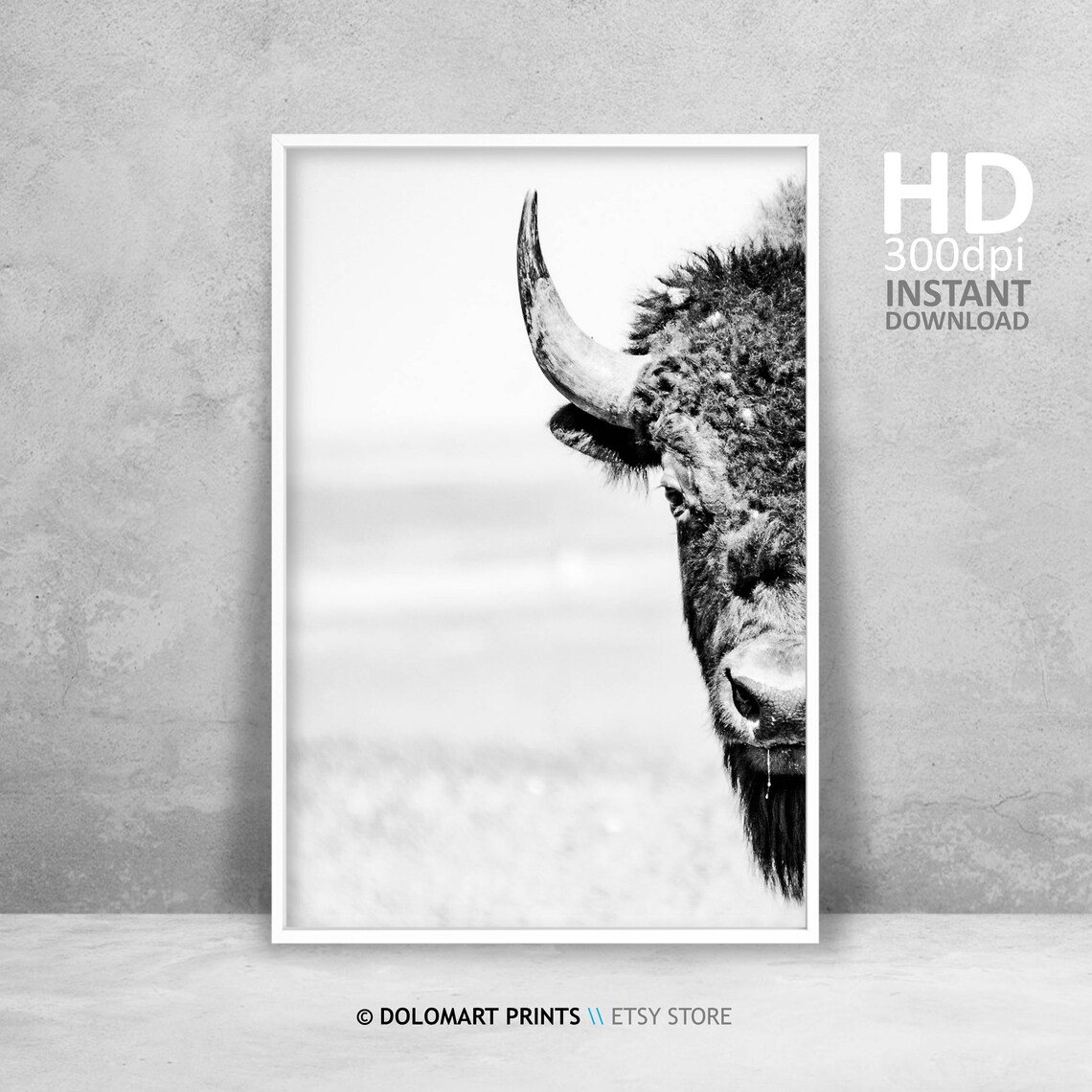 Bison Wilderness Photography Animal Poster Art Print