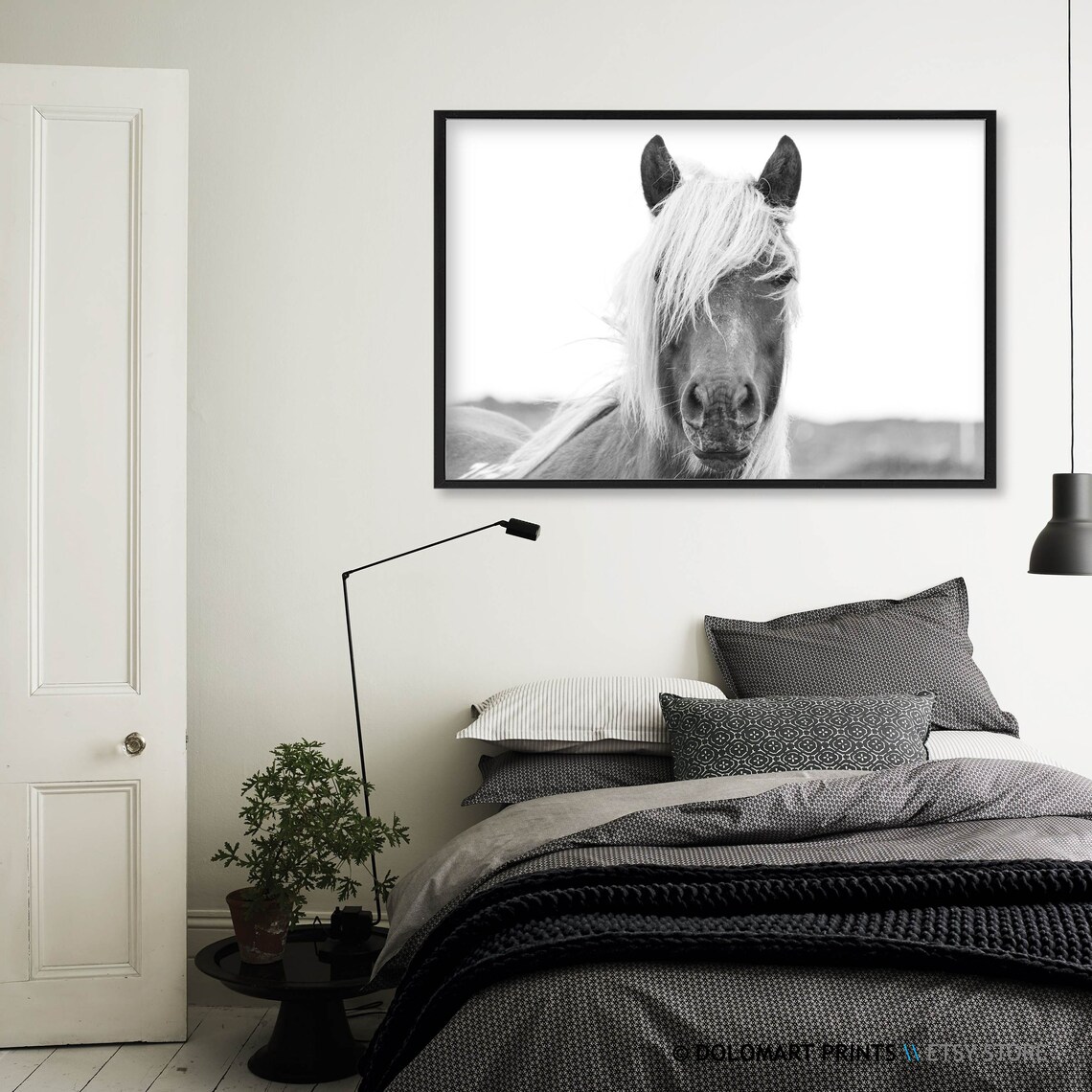 Horse Animal Photography Wall Art, Wilderness Photo - Image 3