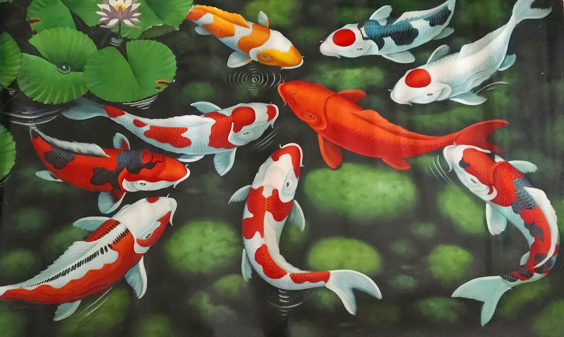 9 Koi Fish Painting, Fresh Natural Nuance