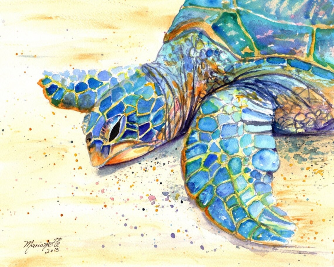 Sea Turtle Kauai Hawaiian Honu Fine Art Print