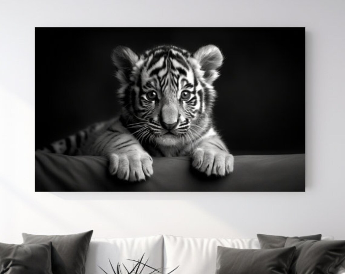Baby Tiger Cub Lying Down Black And White Wildlife Photography Poster