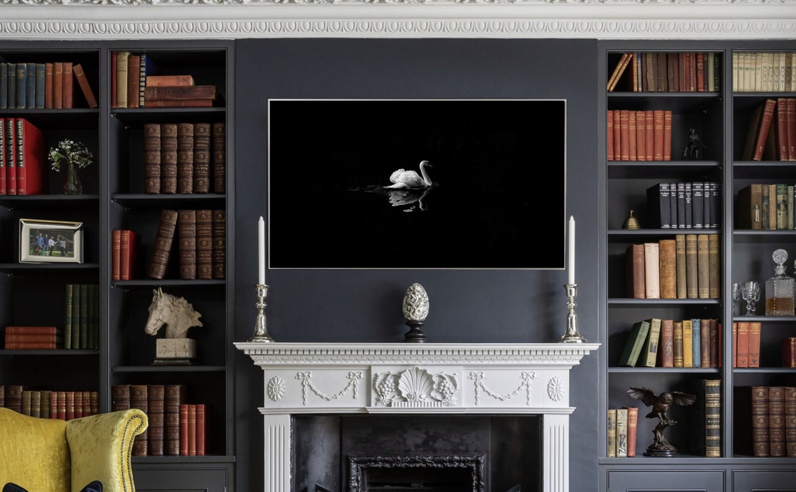 White Swan On Black Water Minimalist Black And White Photo Poster - Image 3