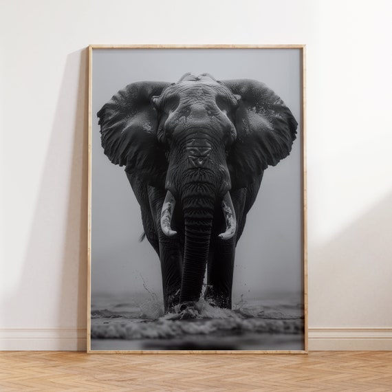 Elephant Poster Animal Print Black And White Wall Art Vintage Print Photography Prints Museum Quality Photo Print