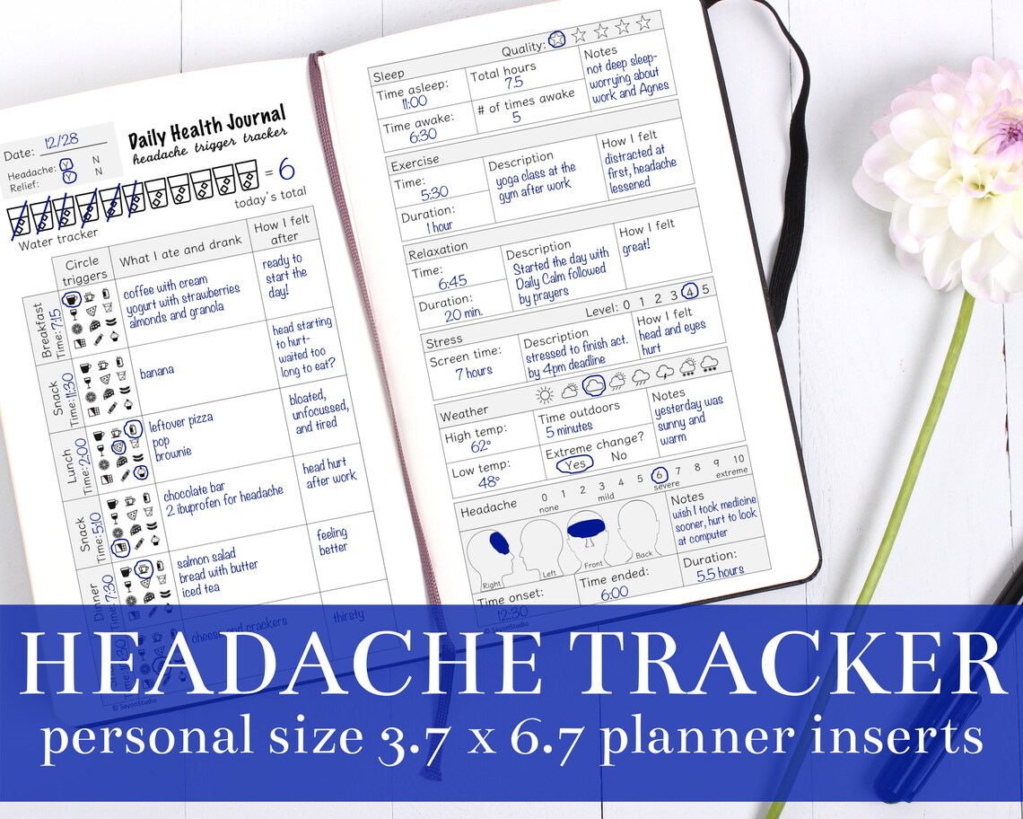 Comprehensive Daily Headache Tracker, Poster Print