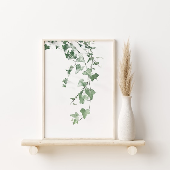 Ivy Printgreen Leaves Print Botanical Wall Artivy Posterivy Plant Branches Printivy Photo Leaf Art