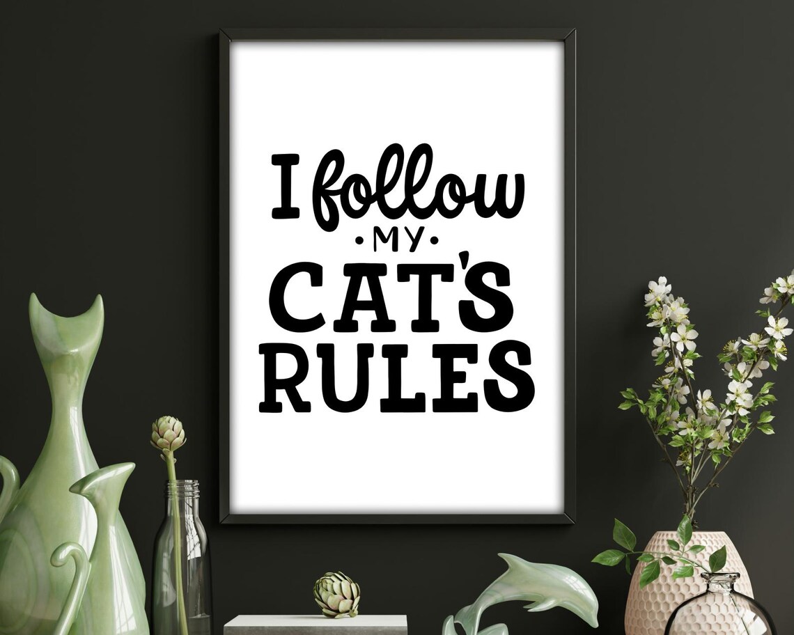 I Follow My Cats Rules, Funny Cat Lover Quote