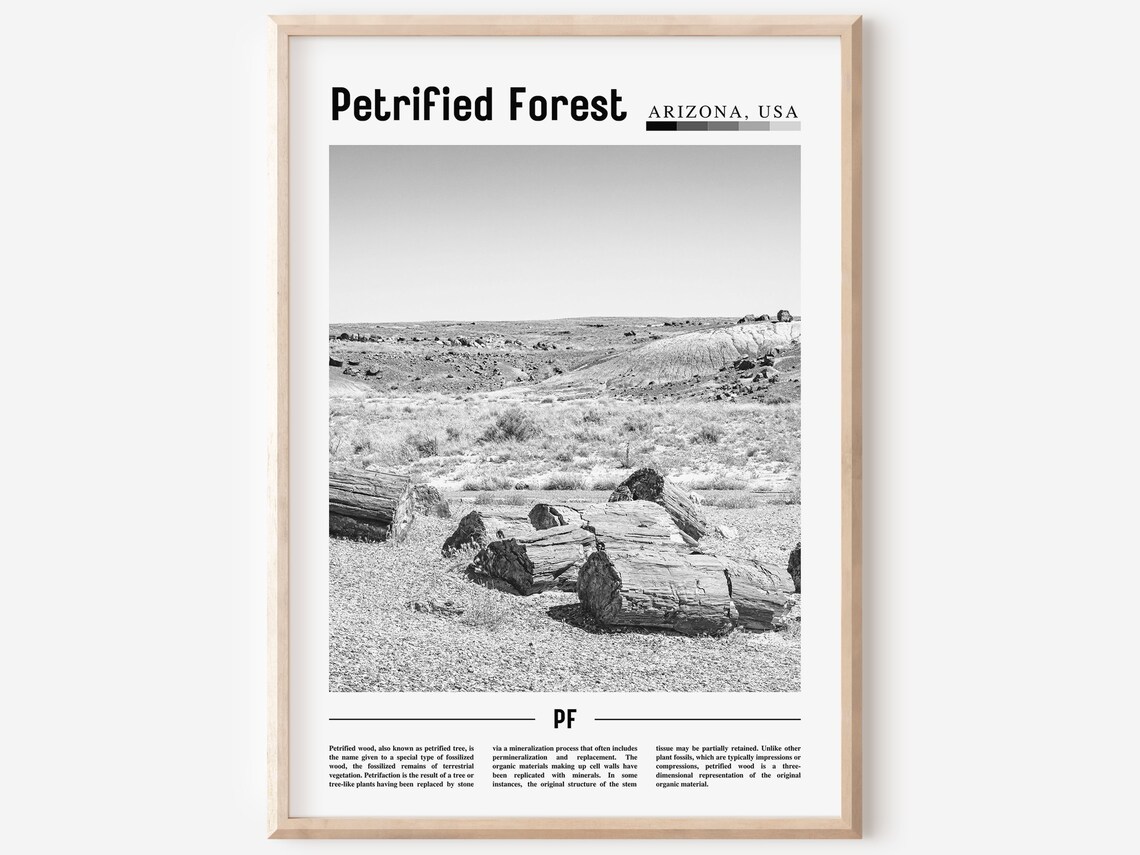 Petrified Forest - Minimal Travel Poster