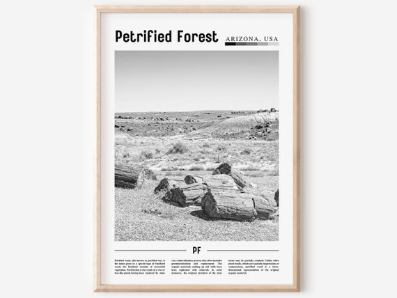 Petrified Forest - Minimal Travel Poster