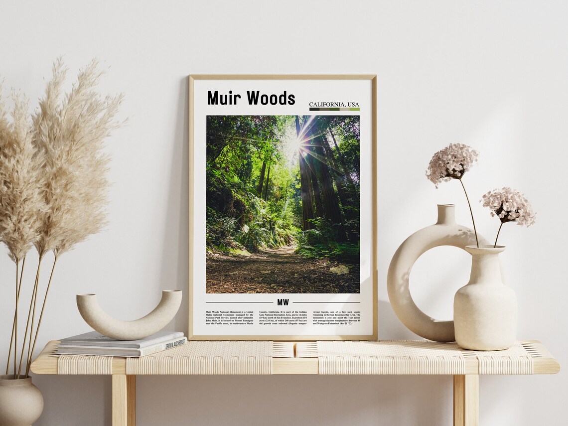 Muir Woods Minimal Travel Poster, Oil Painting - Image 5