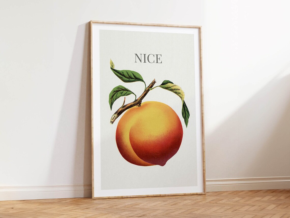 Nice Peach Funny Bathroom Decor Retro Poster - Image 2